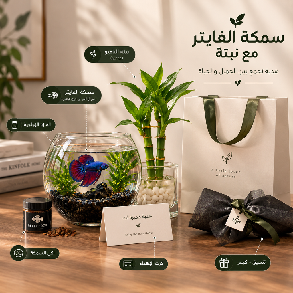 سمكة الفايتر — طقم كامل